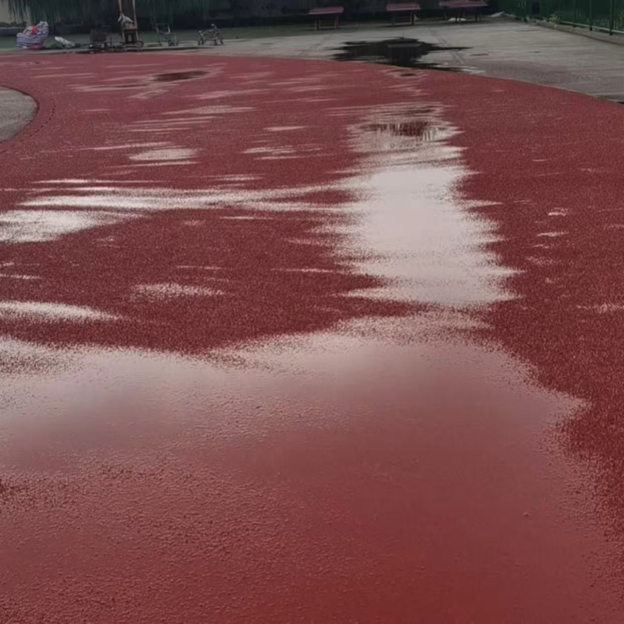 塑胶跑道积水，究竟为何？